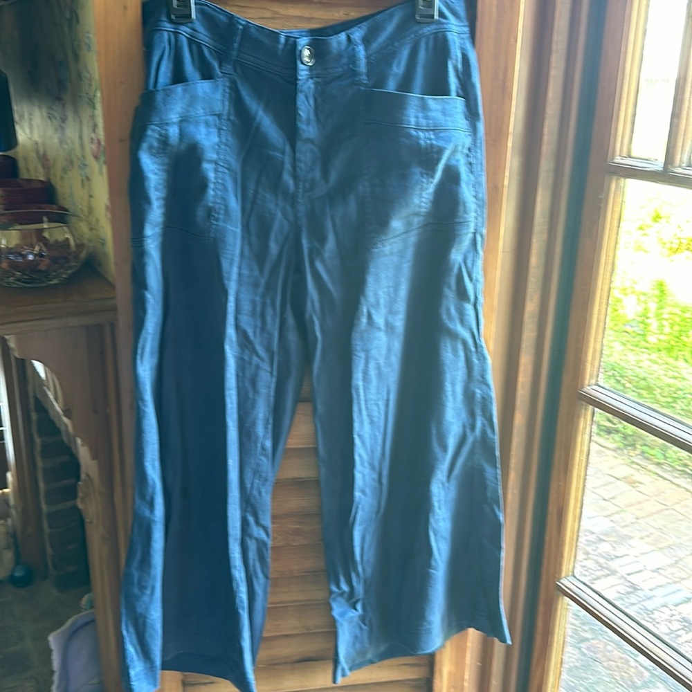 Level 99 by Anthropologie size 29 linen ankle length